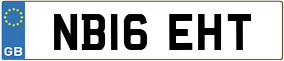 Trailer License Plate